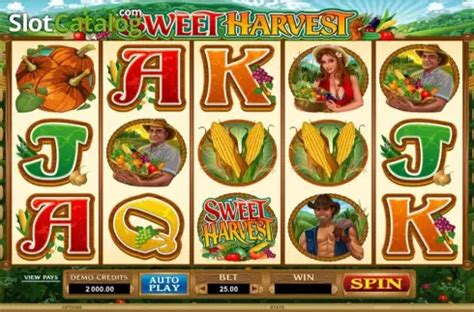 sweet harvest slot|Sweet Harvest Slot ᐈ Demo Version .